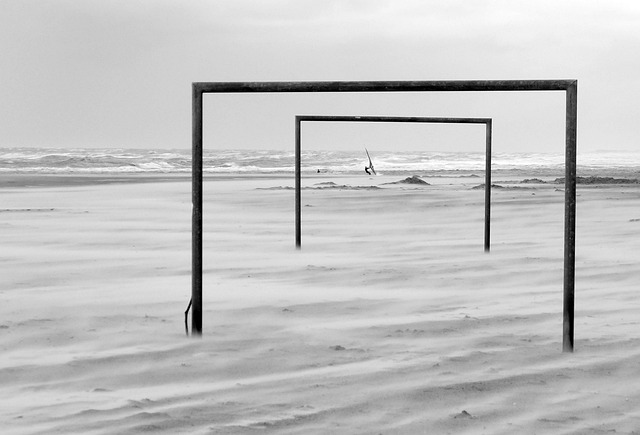 薩拉戈薩目 薩拉戈薩目