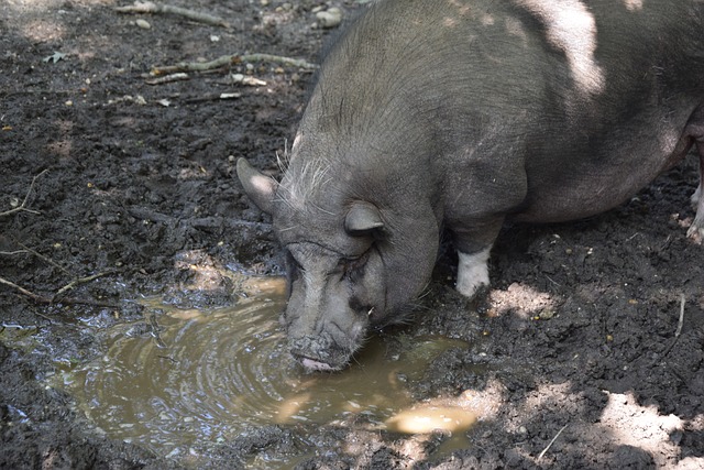 以下几个方 以下几个方