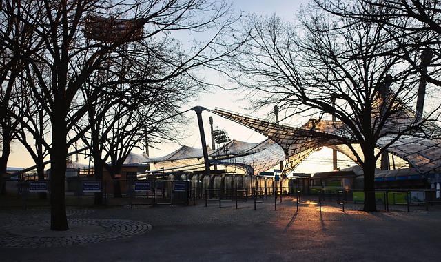 和见证者 和见证者