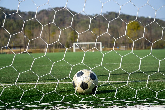 它更在于促 它更在于促