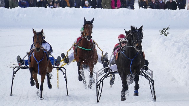 了河南隊的 了河南隊的