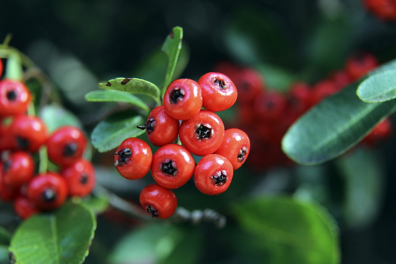 面对实力不 面对实力不